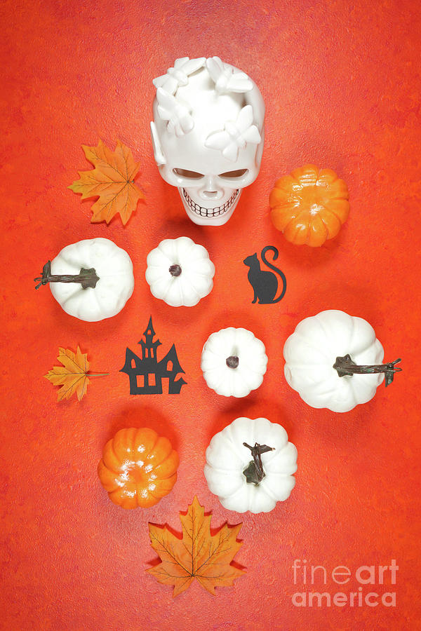 Halloween trick or treat flatlay on orange background with skull and pumpkins. #1 Photograph by Milleflore Images