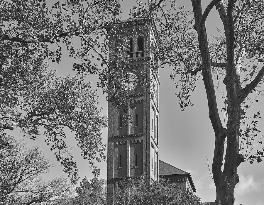 Tree Photograph - Hampton University Memorial Chapel Clocktower and Bell Tower #1 by Mountain Dreams