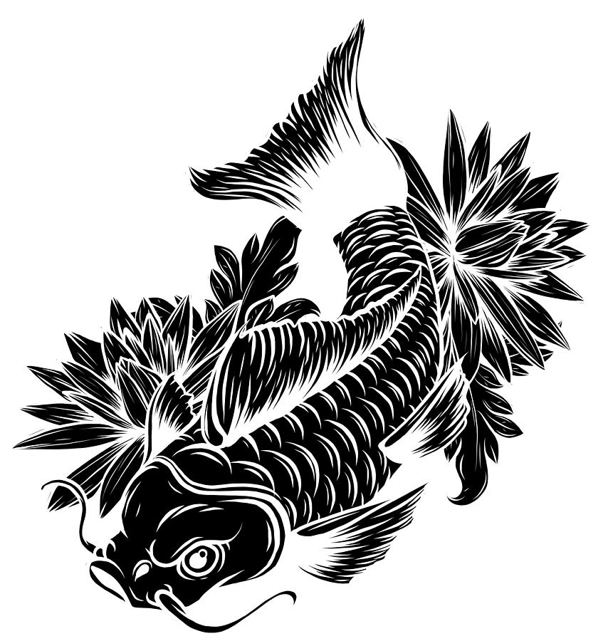 Fish vector illustration template for Coloring book. Drawing