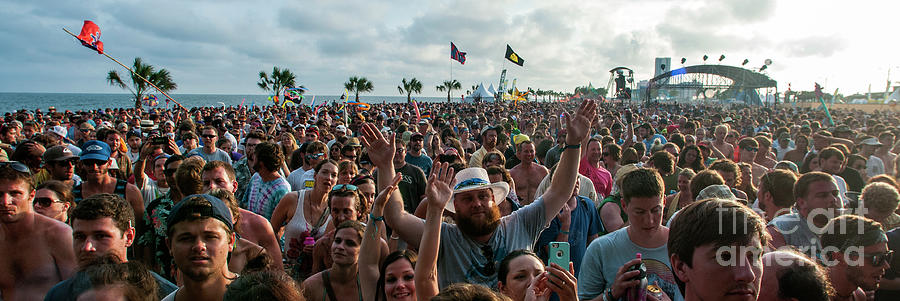 Hangout Music Festival Crowd Photograph by David Oppenheimer - Fine Art ...