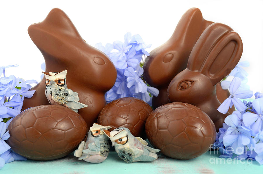 Happy Easter chocolate bunny #1 Photograph by Milleflore Images