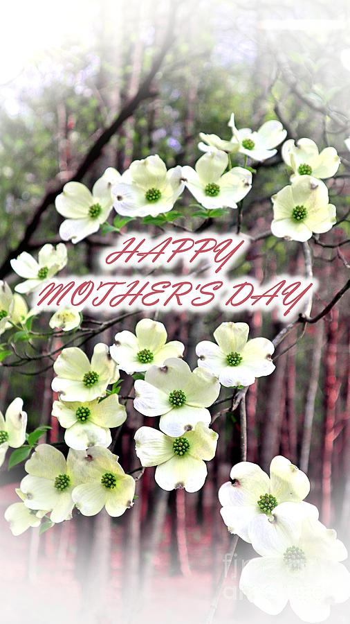 Flowering Tree Mothers Day Greeting Photograph