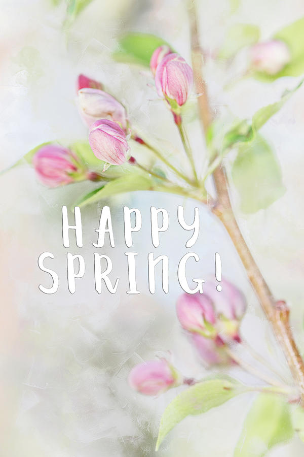 Happy Spring #1 Photograph by Jennifer Grossnickle