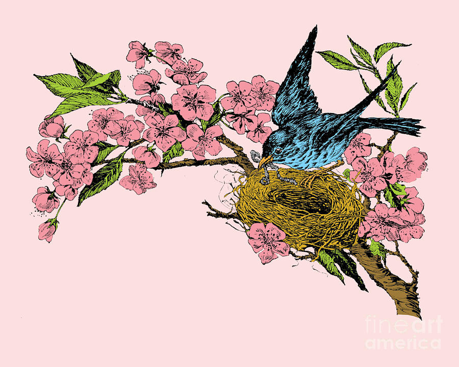 Flower Digital Art - Happy Spring #1 by Madame Memento