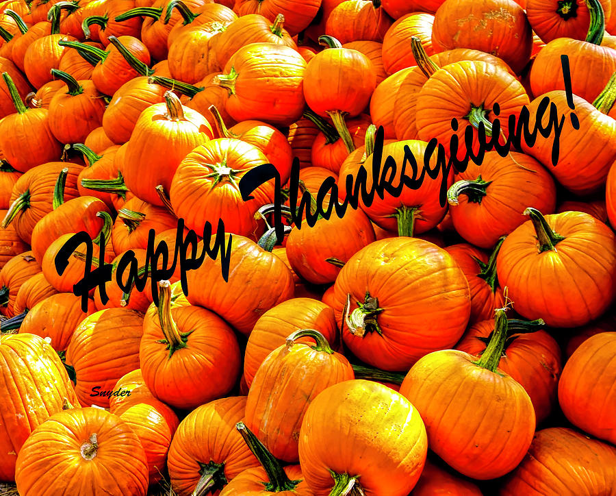 Happy Thanksgiving Pumpkins #2 Photograph by Barbara Snyder