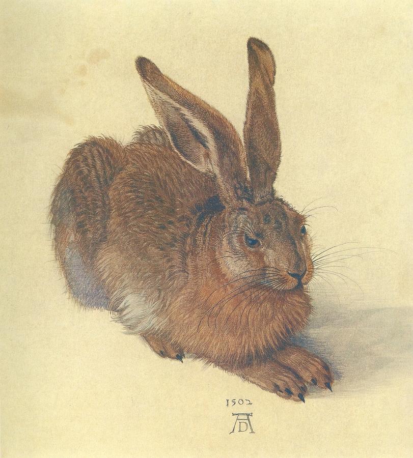 Rabbit Painting - Hare #1 by Albrecht Durer