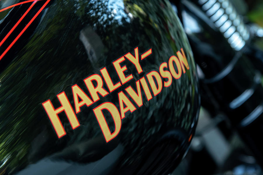 Harley Davidson motorbike logo #1 Photograph by Michalakis Ppalis