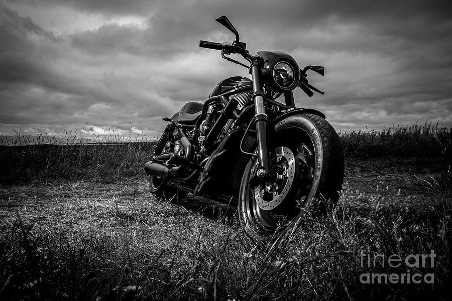 Harley Davidson V-rod night rod vrscd #1 Photograph by Gunnar Orn Arnason