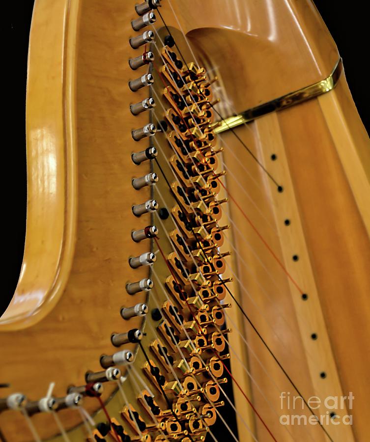 Harp #1 Photograph by Randy J Heath