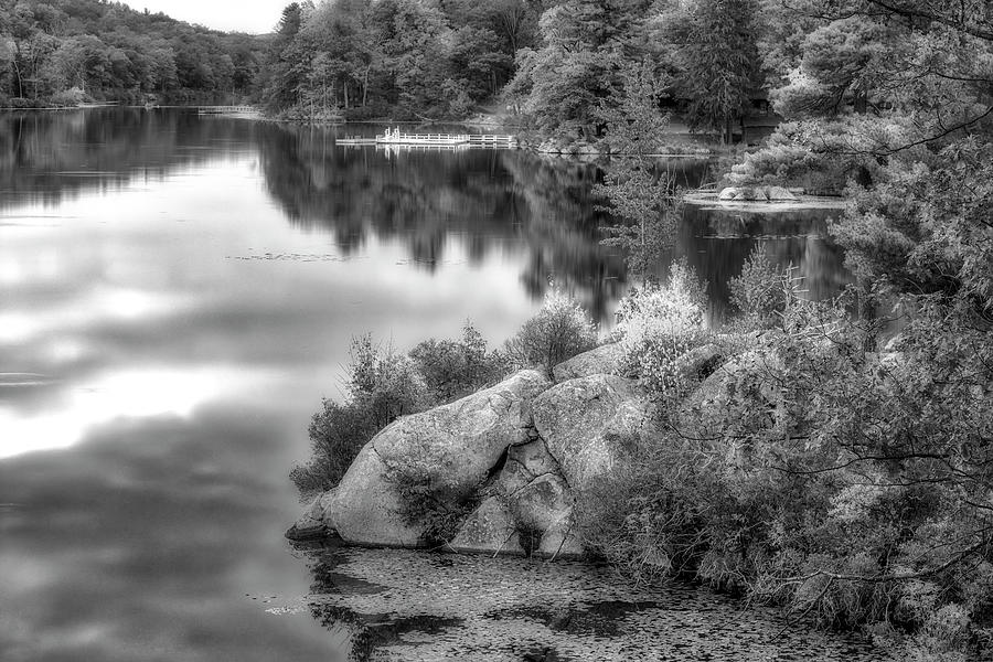 Harriman State Park In Fall BW #1 Photograph by Susan Candelario