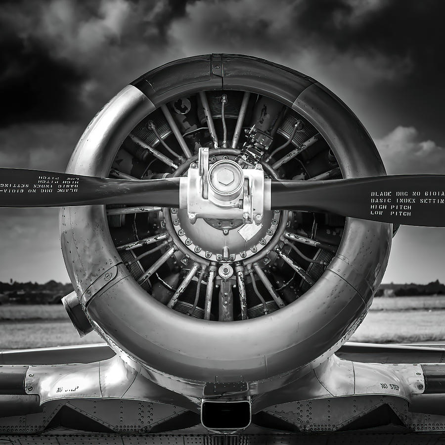 Harvard 7028 Warbird Photograph by Keith Carey - Fine Art America