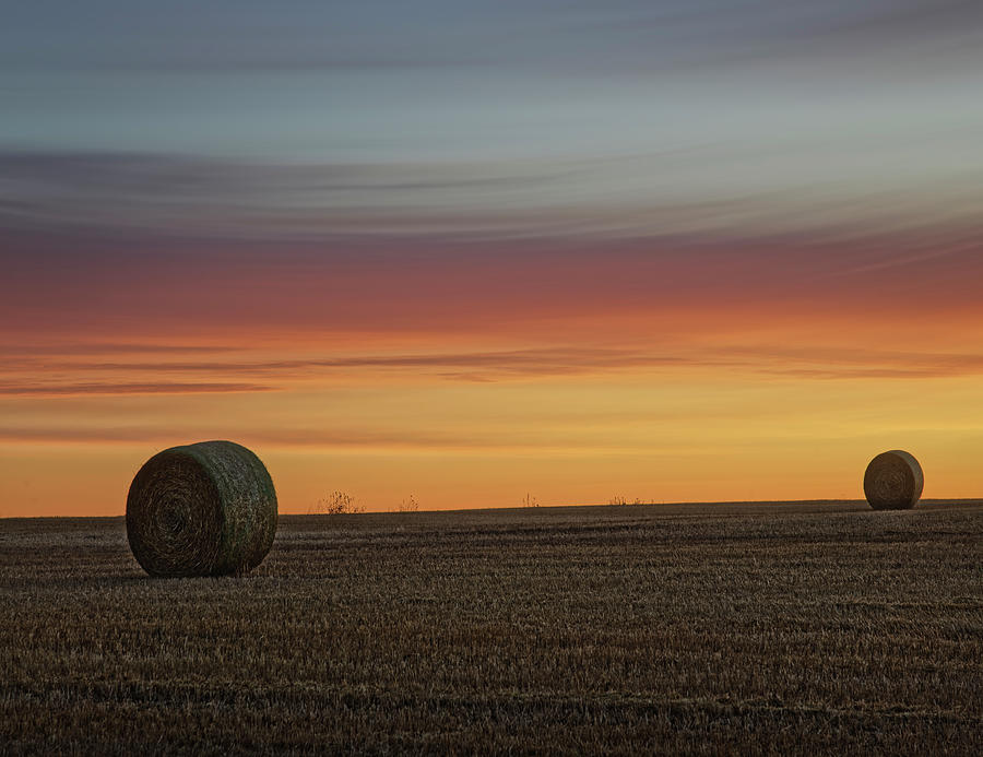 Harvest #1 Photograph by Dan Jurak