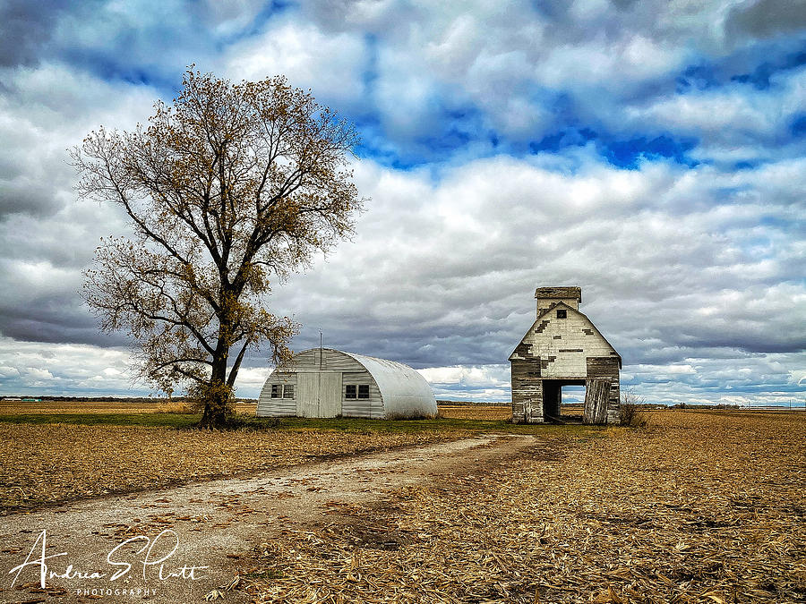 Harvest Road Barn #1 Photograph by Andrea Platt