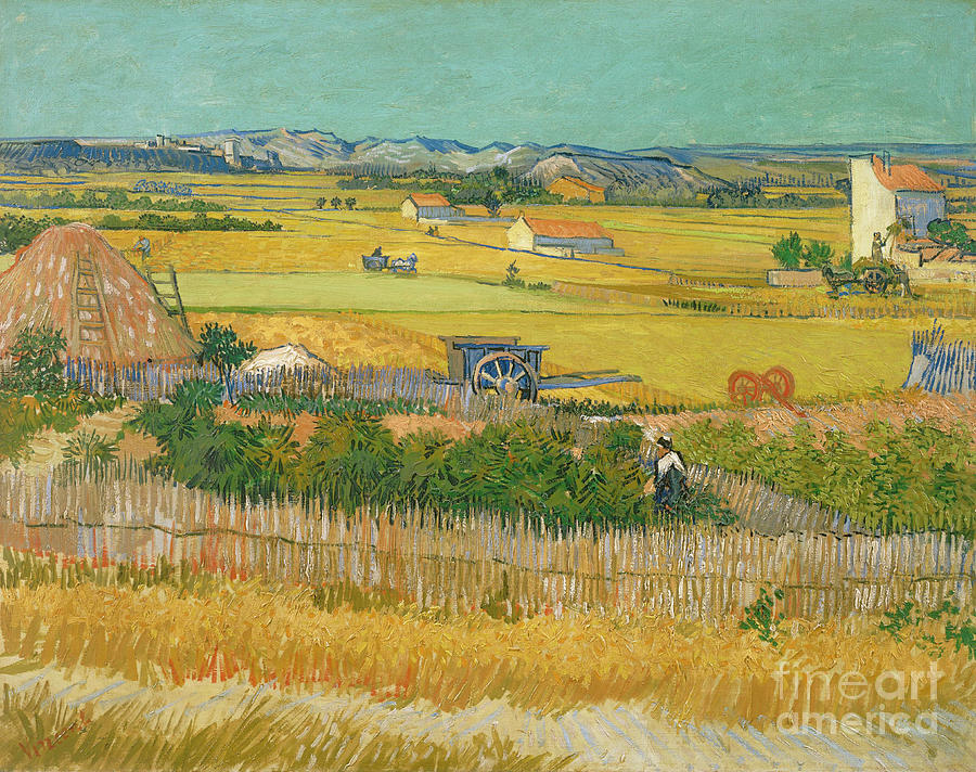 Vincent Van Gogh Painting - Harvest, 1888 by Vincent van Gogh