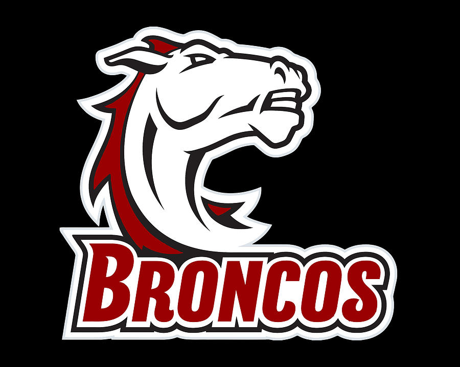 Hastings College broncos Digital Art by Nicolas Daniel - Fine Art America