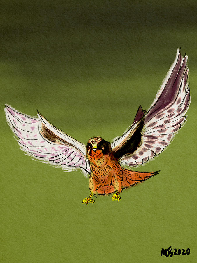Hawk Descending  #1 Digital Art by Michael Kallstrom