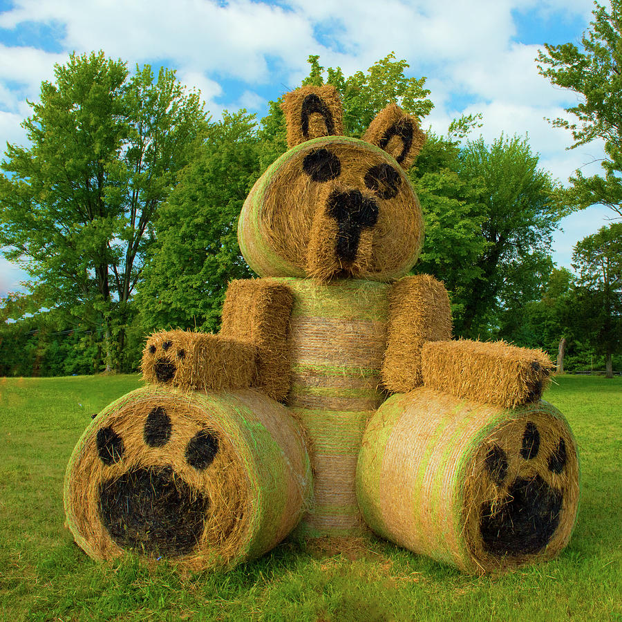 Hay Bale Bear-Fishers Indiana Photograph by William Reagan - Fine Art ...