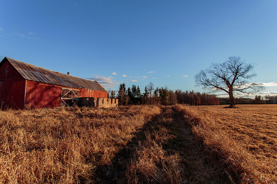 Old Road, Old Barn, Old Tree Photograph by Neal Nealis