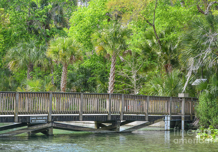 The Walking Bridge Over The Emerald Color Of Wekiwa River In Wekiwa Springs State Park, Apopka, S Photograph