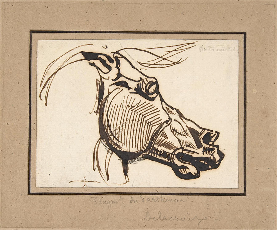 Head of a Horse, after the Parthenon #3 Drawing by Eugene Delacroix