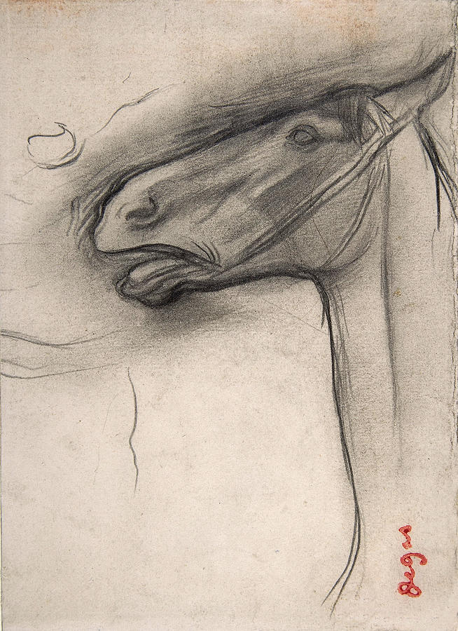 Head of a Horse #2 Drawing by Edgar Degas