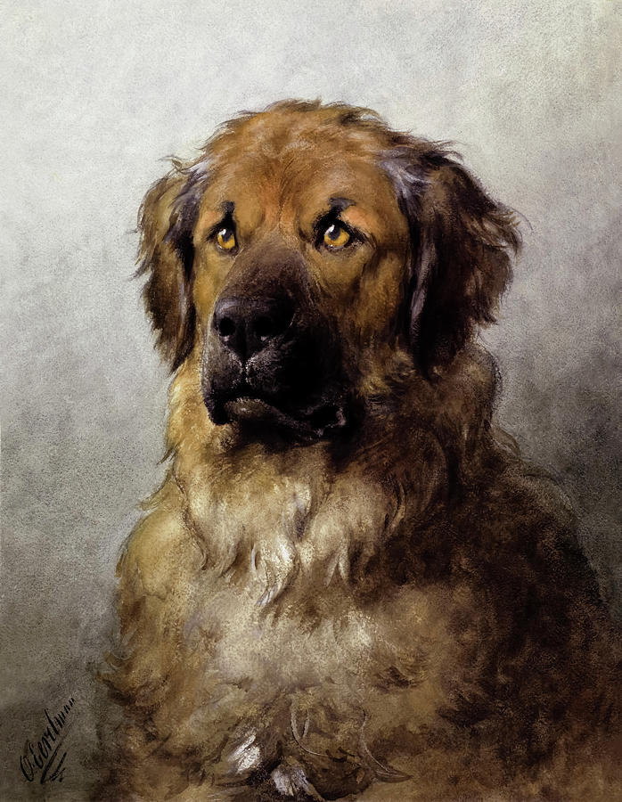 Nature Painting - Head of a Leonberger  #1 by Otto Eerelman