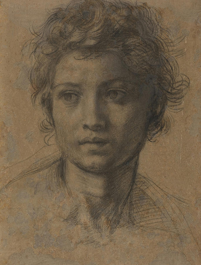 Head of Saint John the Baptist #2 Drawing by Andrea del Sarto