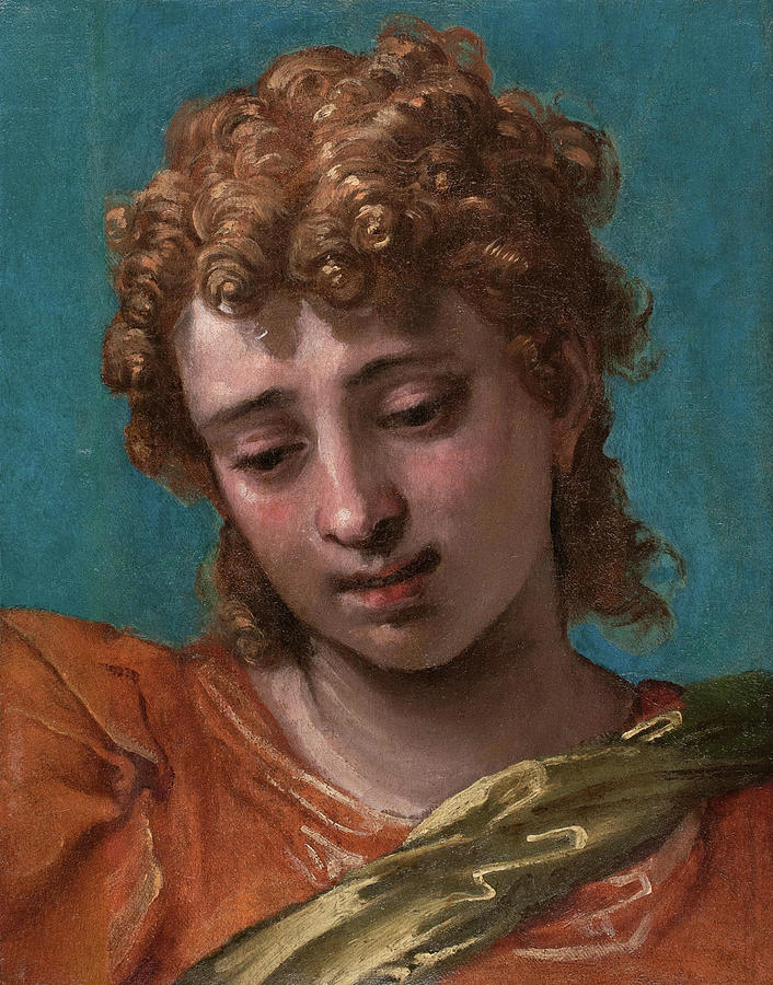 Head of Saint Michael, from the Petrobelli Altarpiece #1 Painting by Paolo Veronese