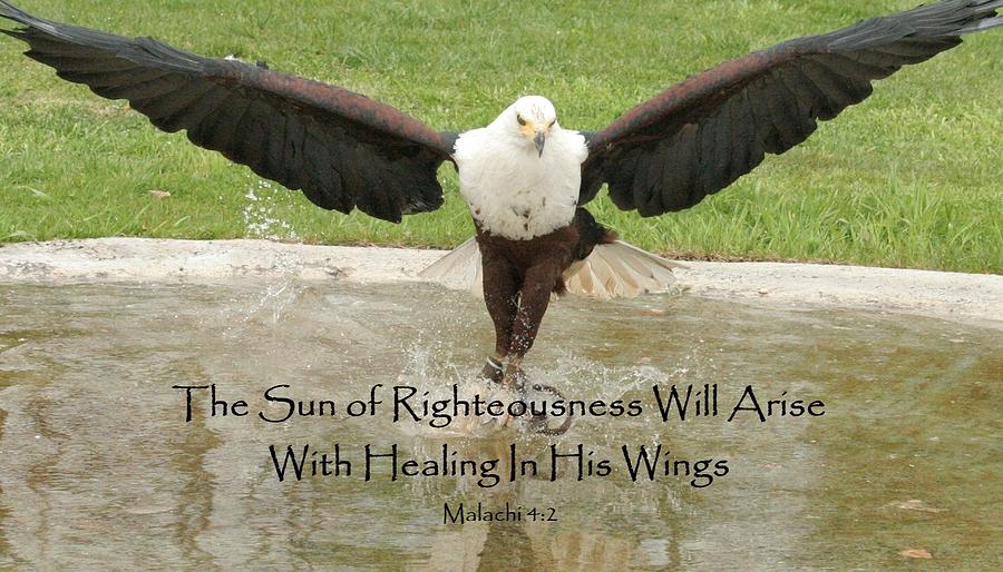Healing In His Wings #1 Sculpture by Pam Neilands