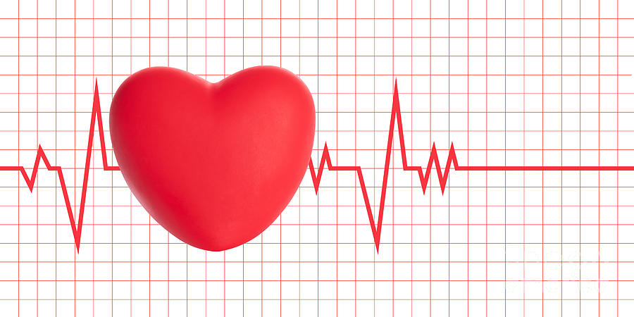 Heart Pulse Cardiogram Digital Art