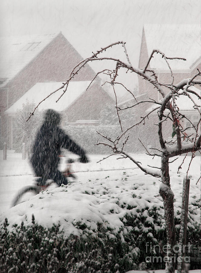Heavy Snowfall Bicycling Christmas Around The Corner  Photograph by Tatiana Bogracheva