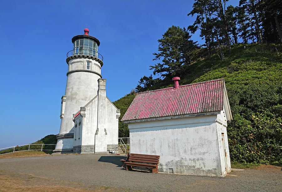 Heceta Head Lighthouse, Oregon #1 Photograph by Buddy Mays
