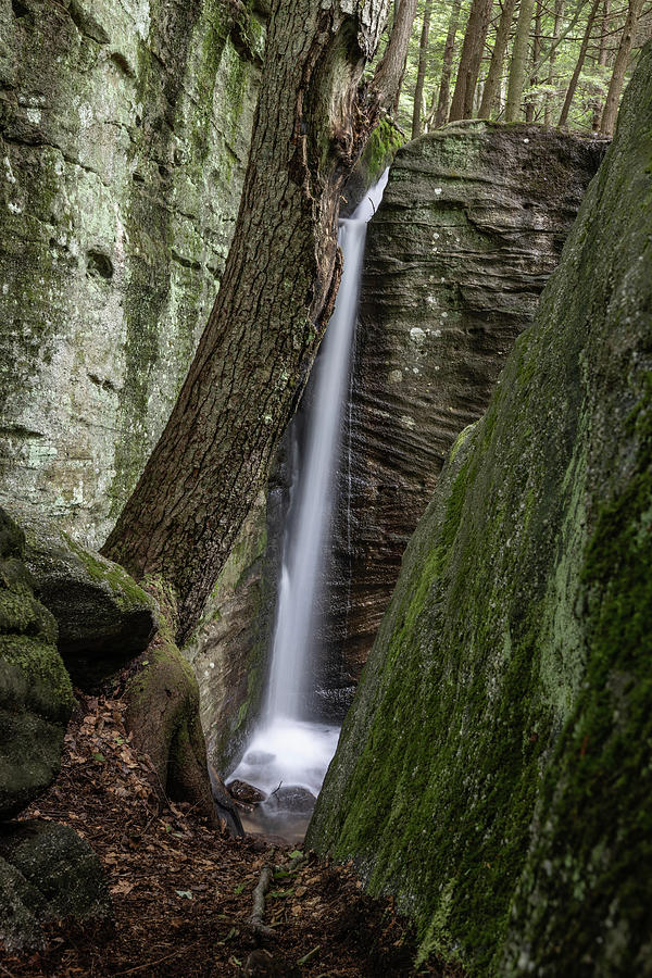 Hector Falls PA Photograph by John McGraw | Fine Art America