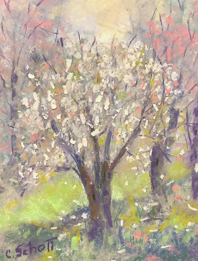 Hello Spring #1 Painting by Christina Schott