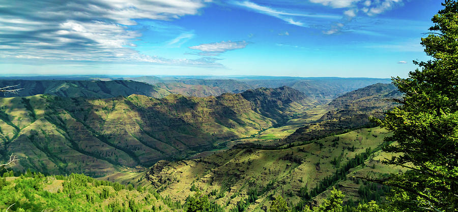 Hells Canyon Oregon 2021 Photograph by Anthony Froh - Fine Art America