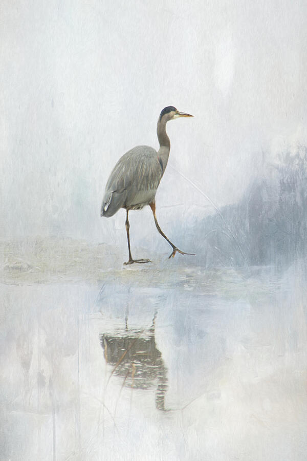 Heron in the Mist Photograph by Marilyn Wilson