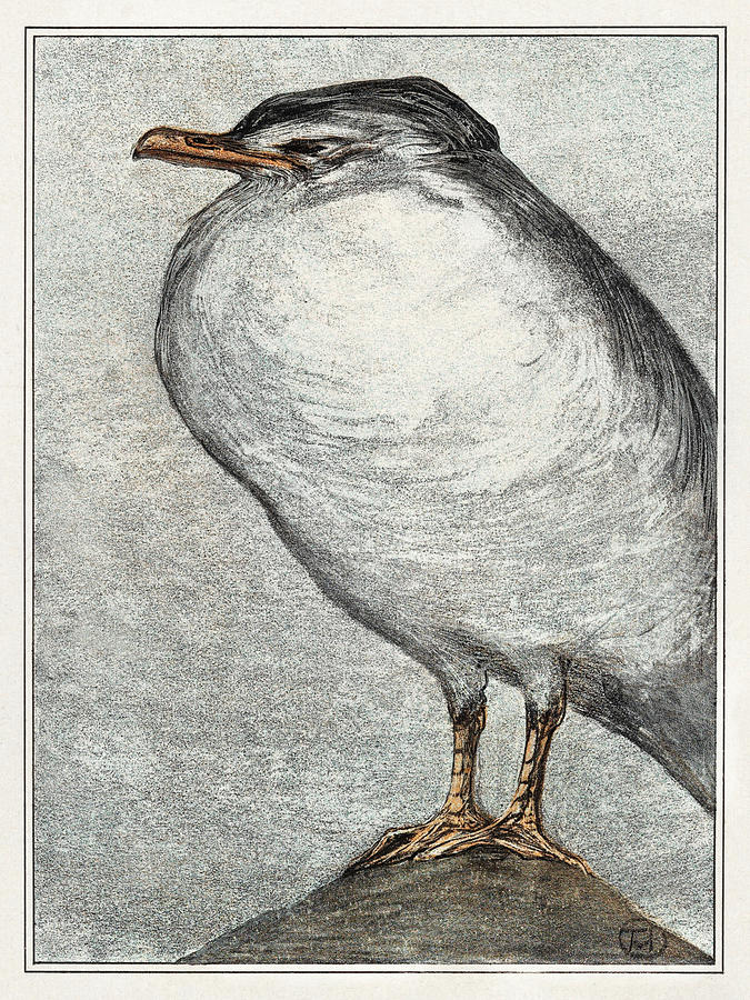 Bird Painting - Herring Gull #1 by Theo van Hoytema