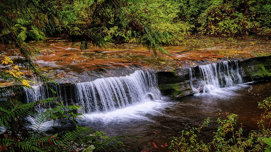 Hidden Falls #1 Photograph by Bill Posner