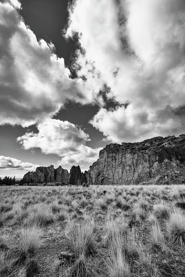 High Desert Tones  #1 Photograph by Steven Clark