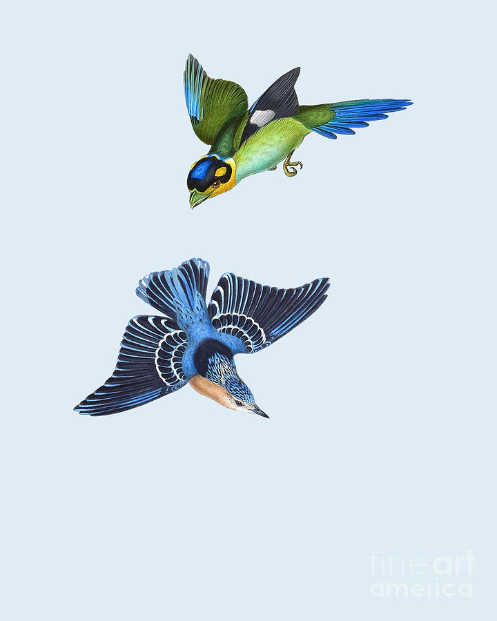 Bird Digital Art - High In The Sky #1 by Madame Memento
