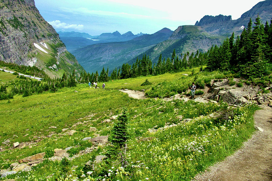 Highline Trail, Glacier National Park, Montana #2 Photograph by Ruth Hager
