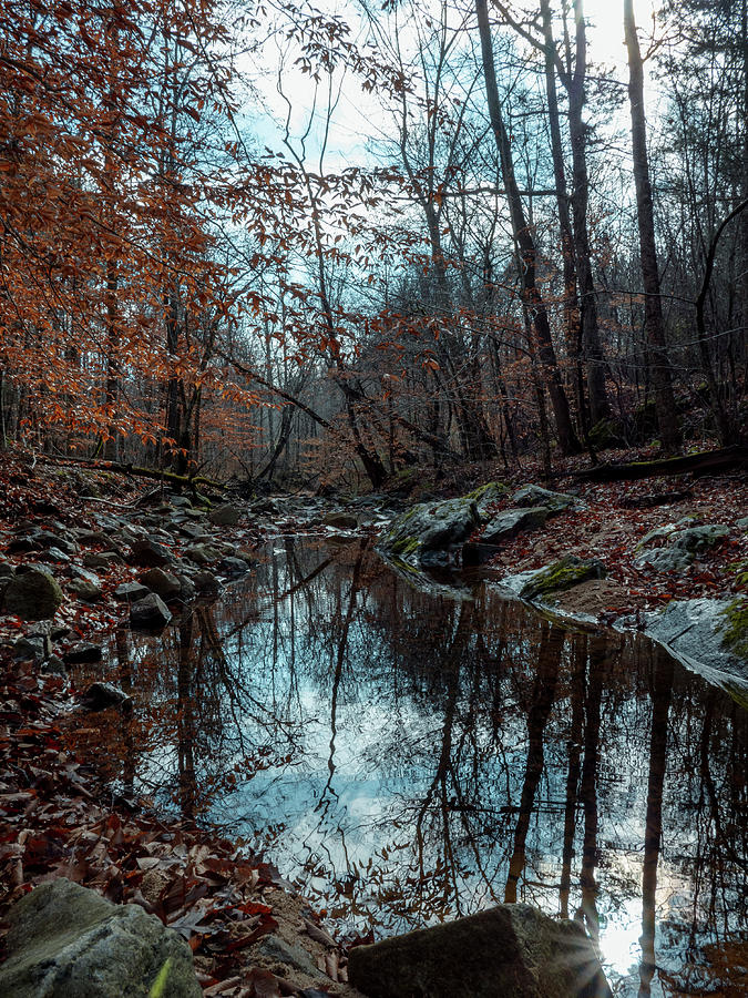 Winter Photograph - Hiking by a Stream  #2 by Katlyn Reynolds