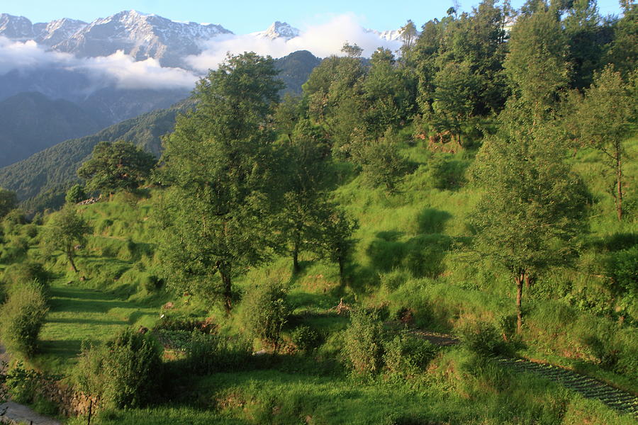 Himalayan Mountain Landscape Photograph