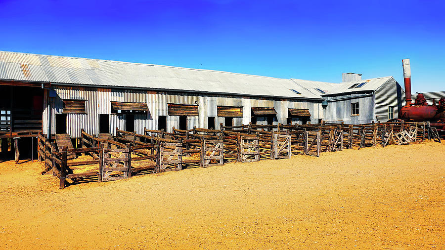 Historic Kinchega Woolshed 3 #1 Photograph by Lexa Harpell