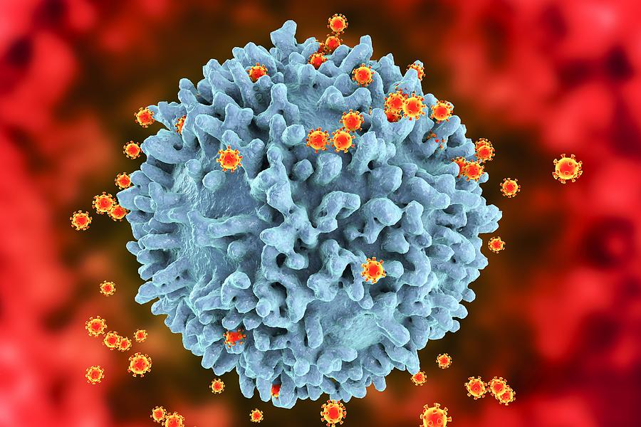 HIV viruses, illustration #1 Drawing by Kateryna Kon/science Photo Library