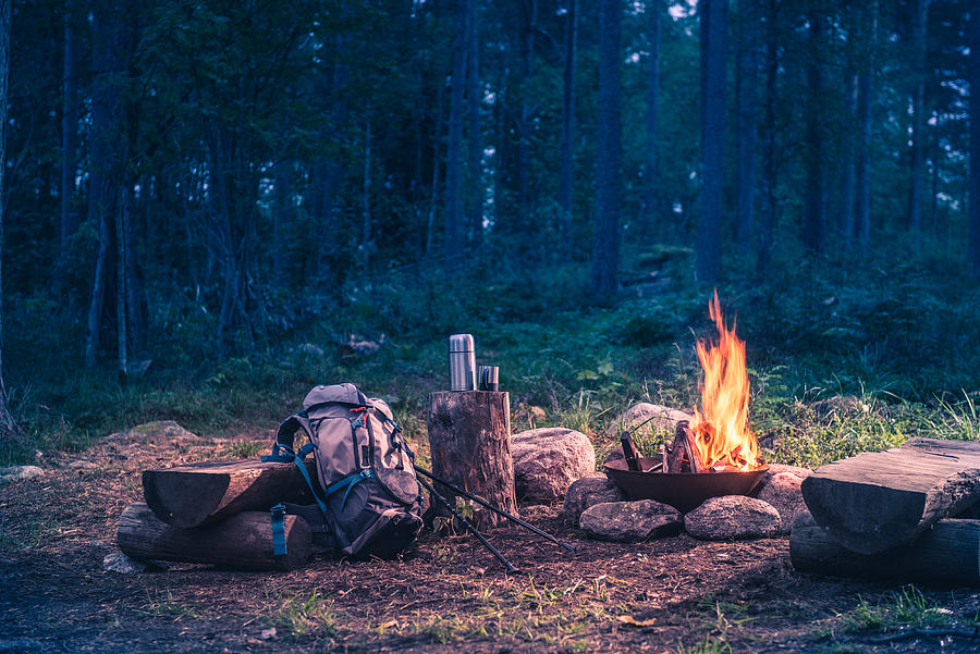Holiday destination in a forest trip by the fire #1 Photograph by Katerinasergeevna