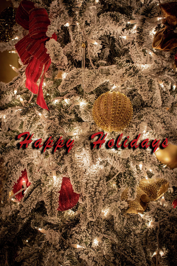 Holiday-holiday Sparkle Photograph