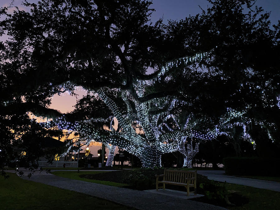 Holly Jolly Jekyll Christmas Celebration, Jekyll Island, Georgia #1 Photograph by Dawna Moore Photography