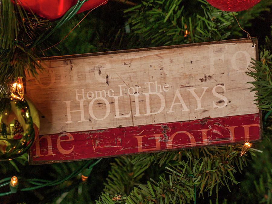 Home for the Holidays #1 Photograph by Stewart Helberg