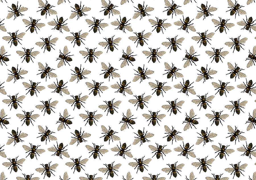 Honey Bee Pattern - No. 3 Digital Art by Eclectic at Heart
